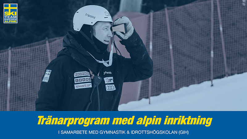 En bild