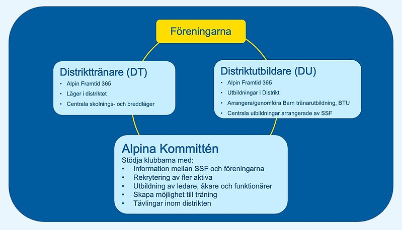 En bild