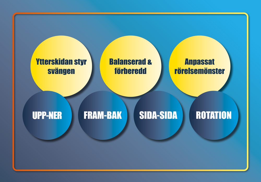 En bild